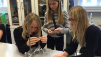 Forsøg i biologi